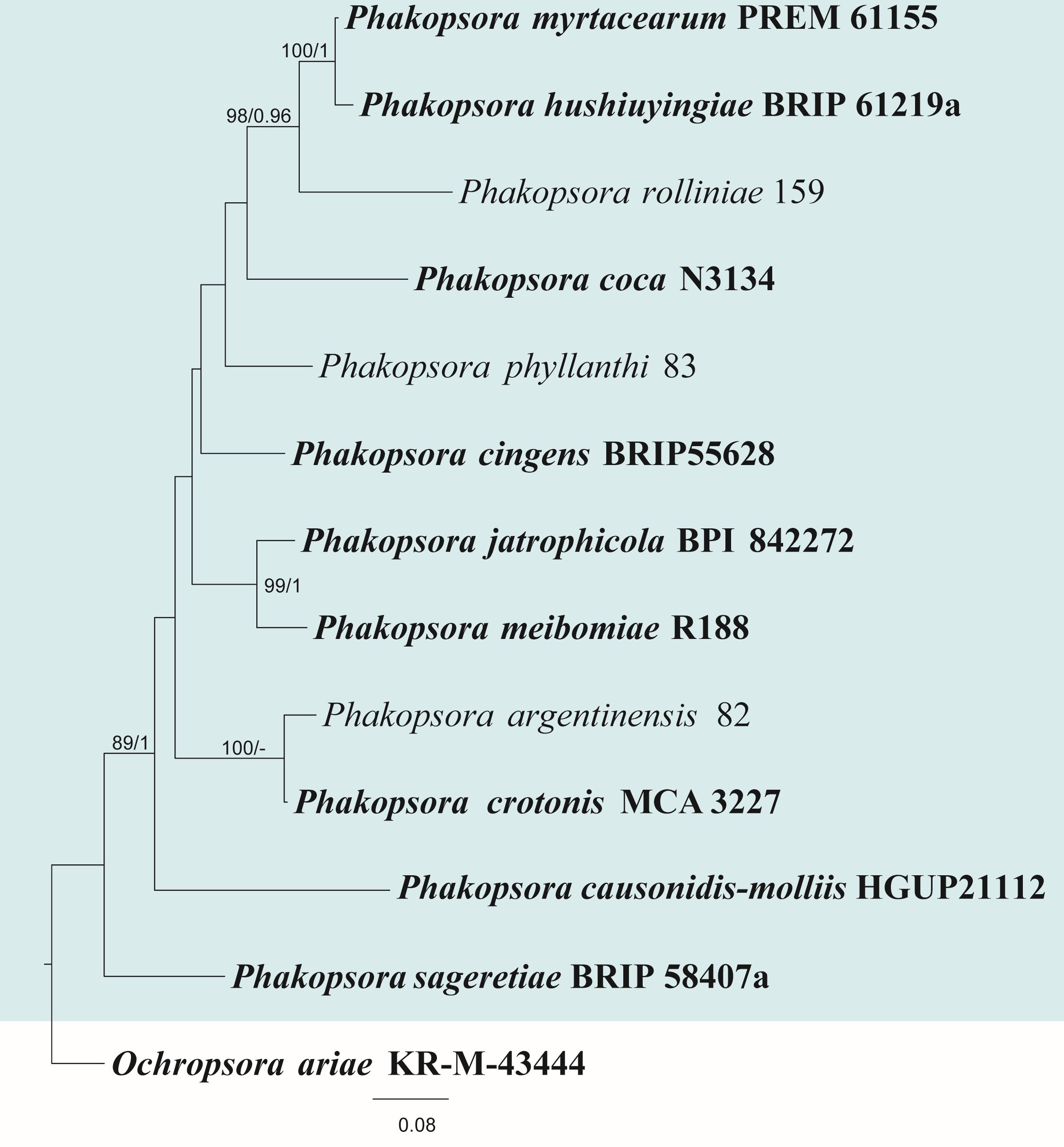 Figure 30